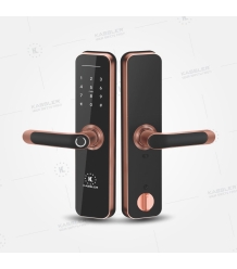 Khóa vân tay Kassler KL-668 App Red Bronze