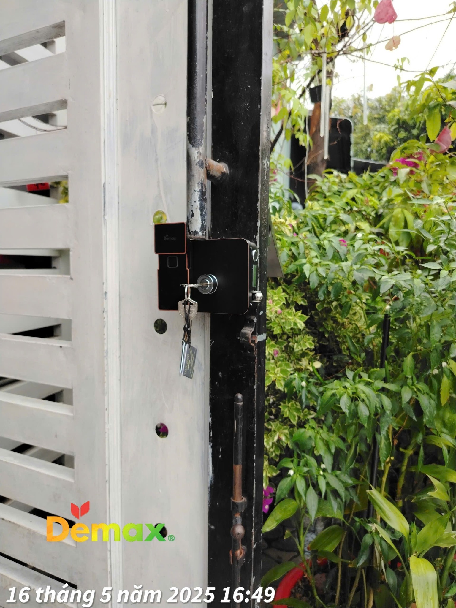 khóa cổng Demax